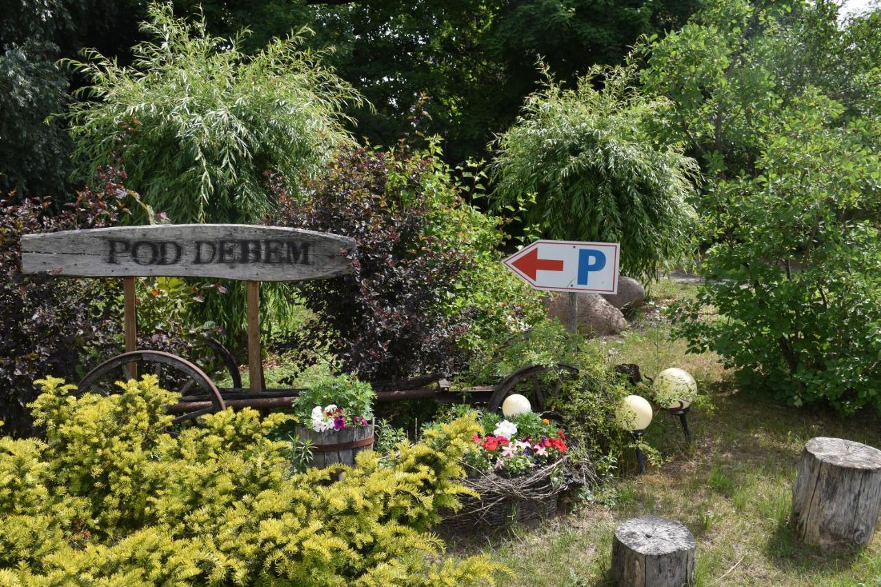 Gosciniec Pod Debem Villa Trzciel ภายนอก รูปภาพ